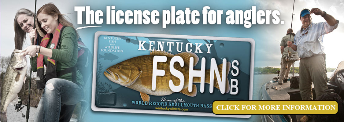 Kentucky Fish & Wildlife Foundation License Plate