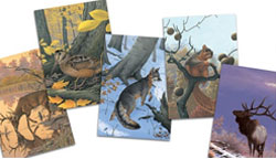 KF&WF greeting cards