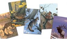 KF&WF greeting cards
